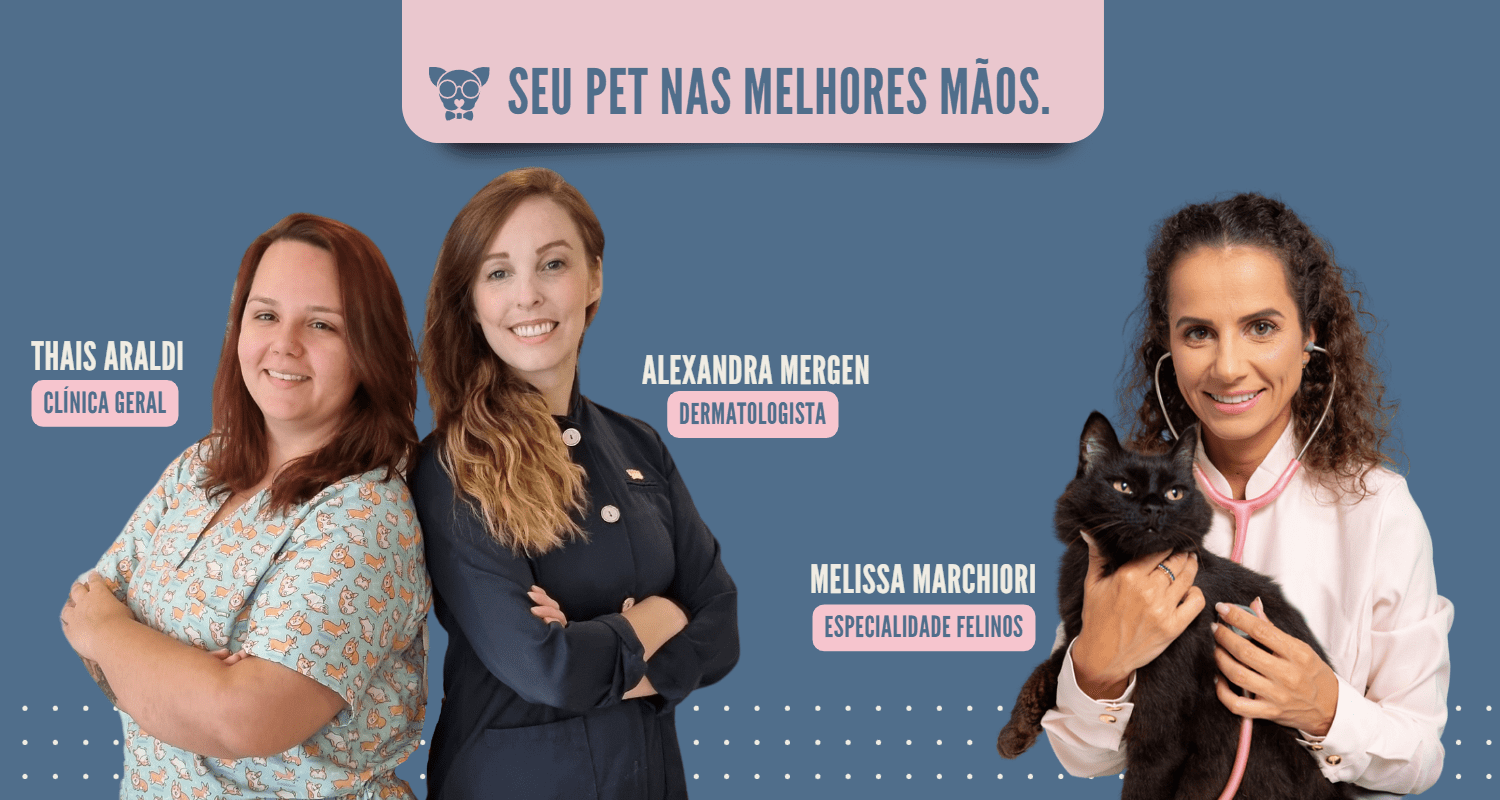 veterinárias-dotopet