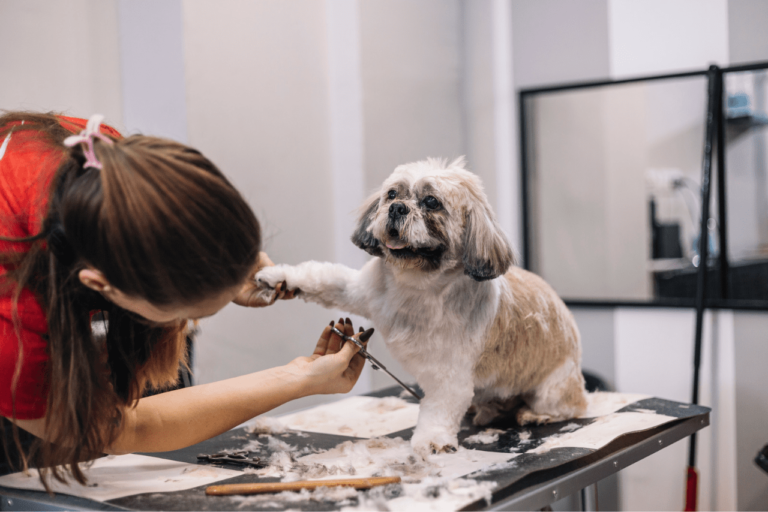 Quais são os benefícios de um banho e tosa profissional para o meu cão?