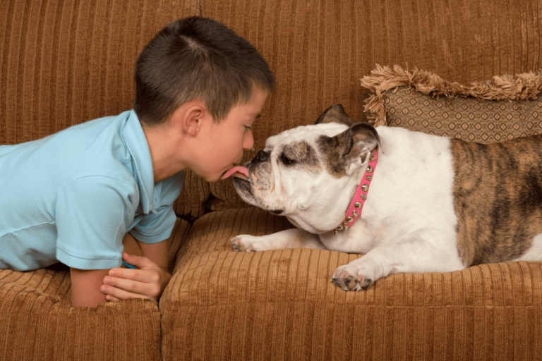 Melhores raças de cachorro para apartamento