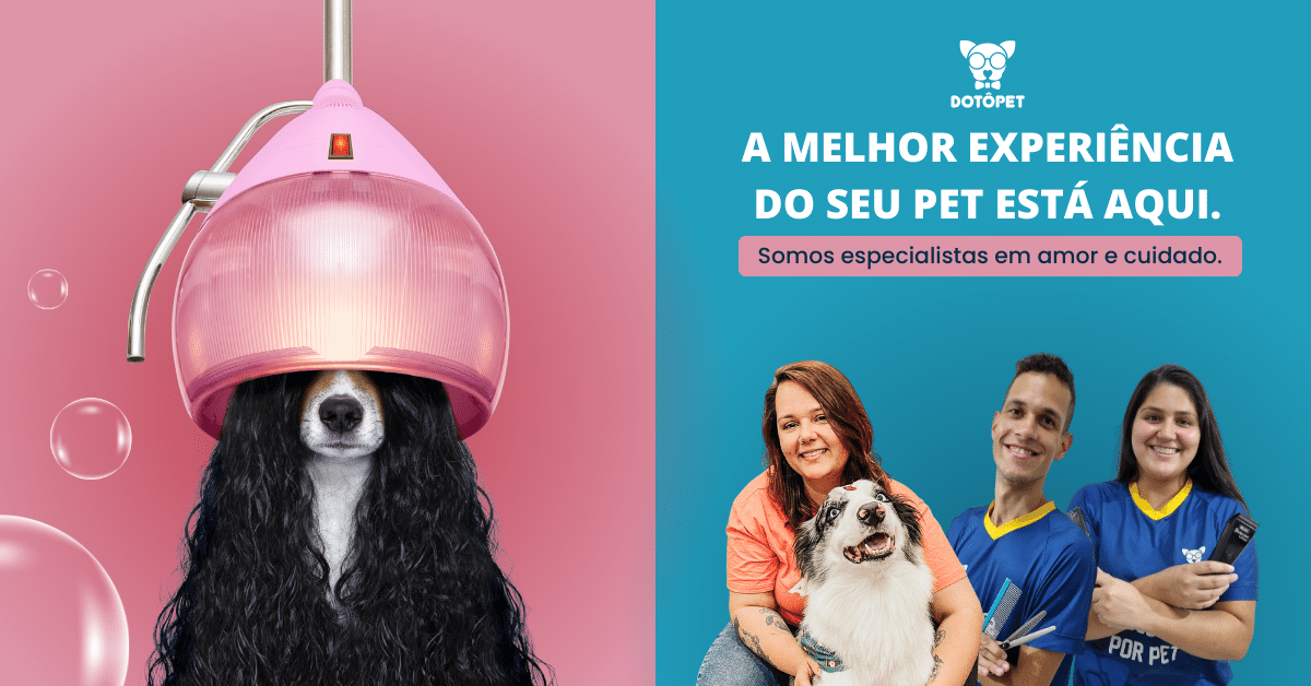 pet shop itajai