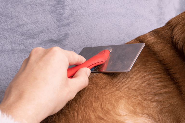 A Importância da Remoção de Subpelo para a Saúde e Conforto do Seu Cachorro