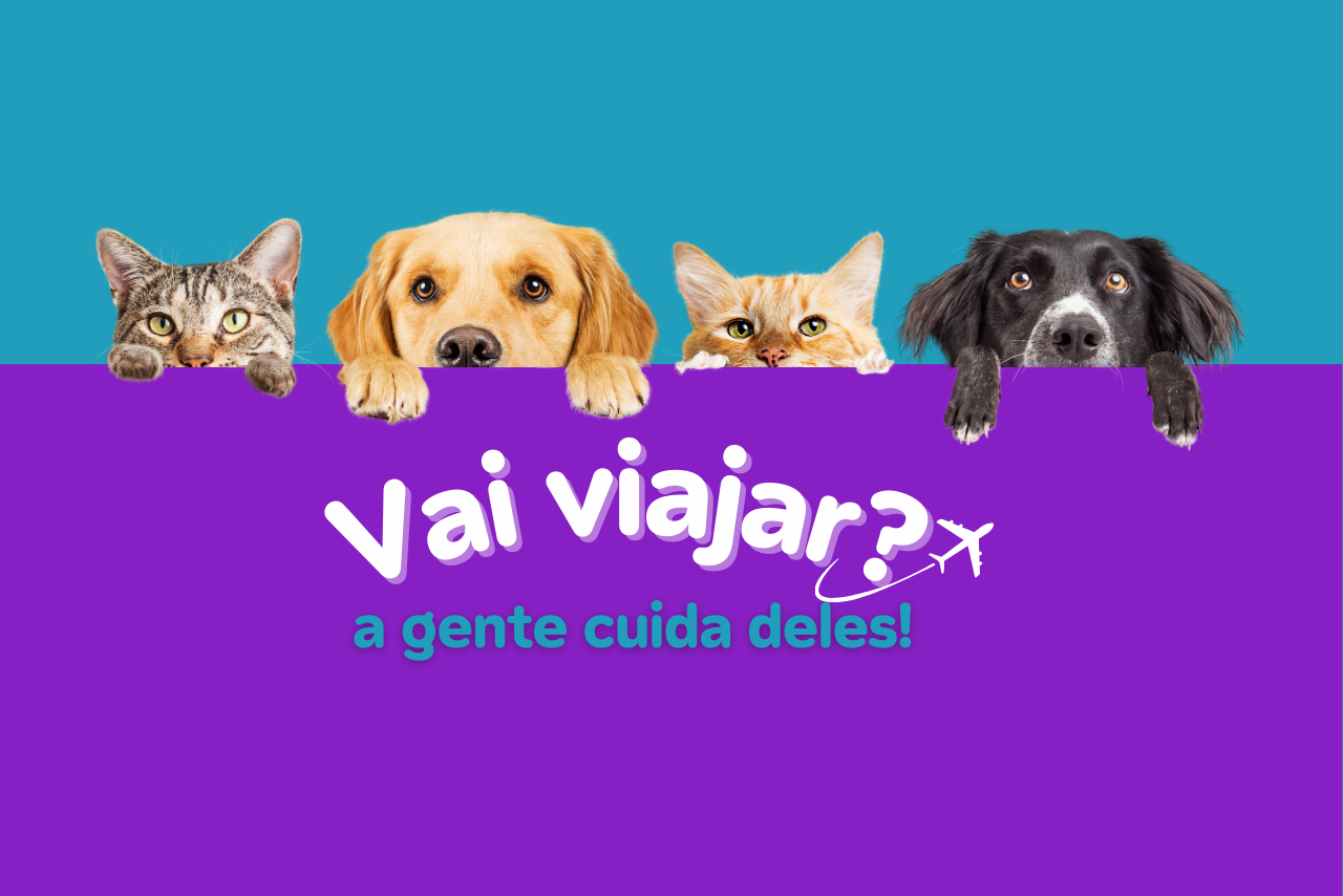 Read more about the article O que é Pet Sitter e porque você deve contratar