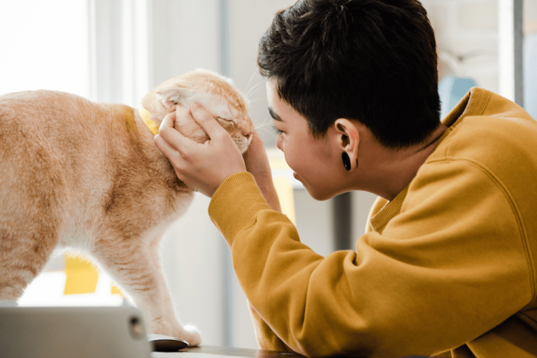 Pet Sitter: Vantagens de Contratar um Profissional para Cuidar do seu Animal de Estimação