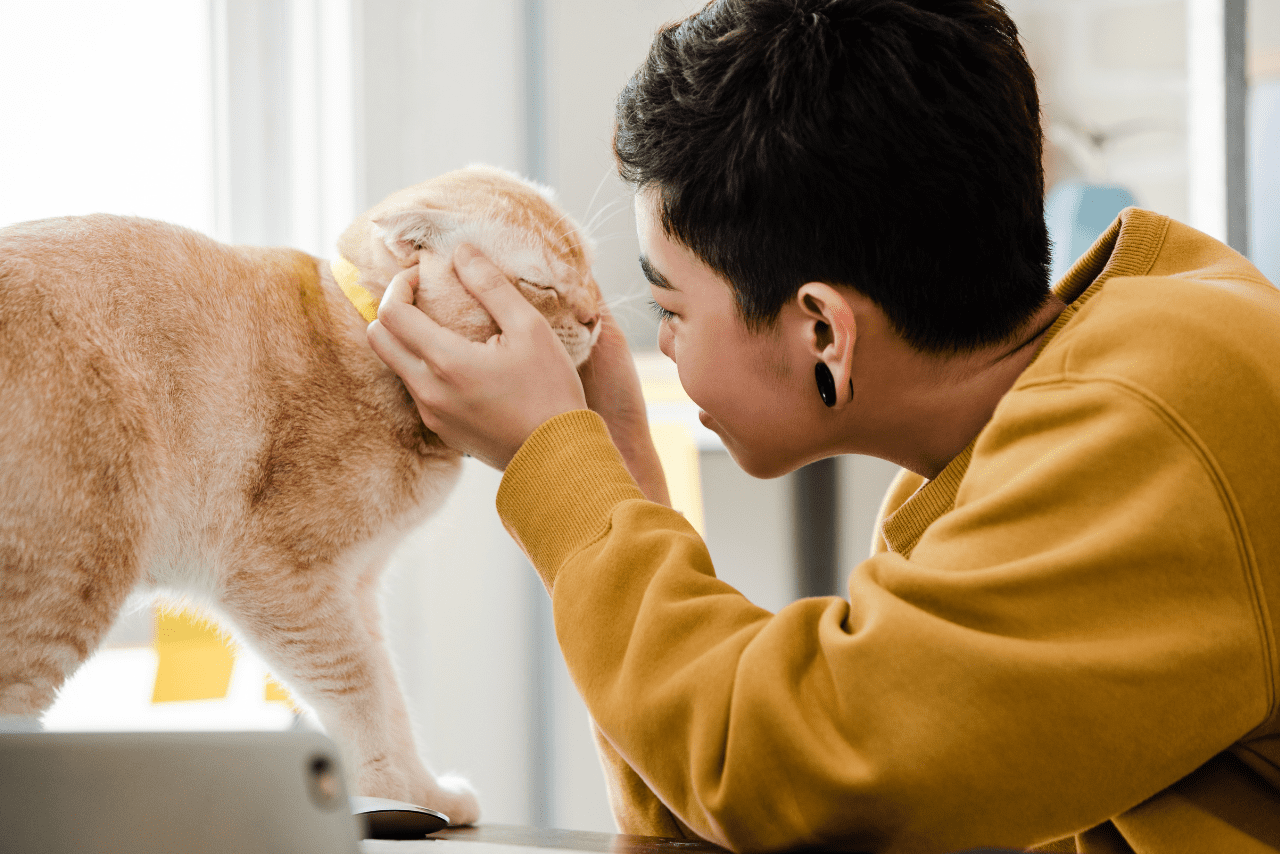 Read more about the article Pet Sitter: Vantagens de Contratar um Profissional para Cuidar do seu Animal de Estimação