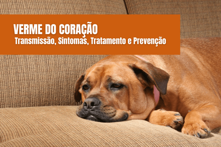 Verme do Coração em Cães: Sintomas, Tratamentos e Prevenção