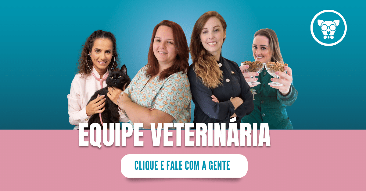 equipe veterinaria dotopet