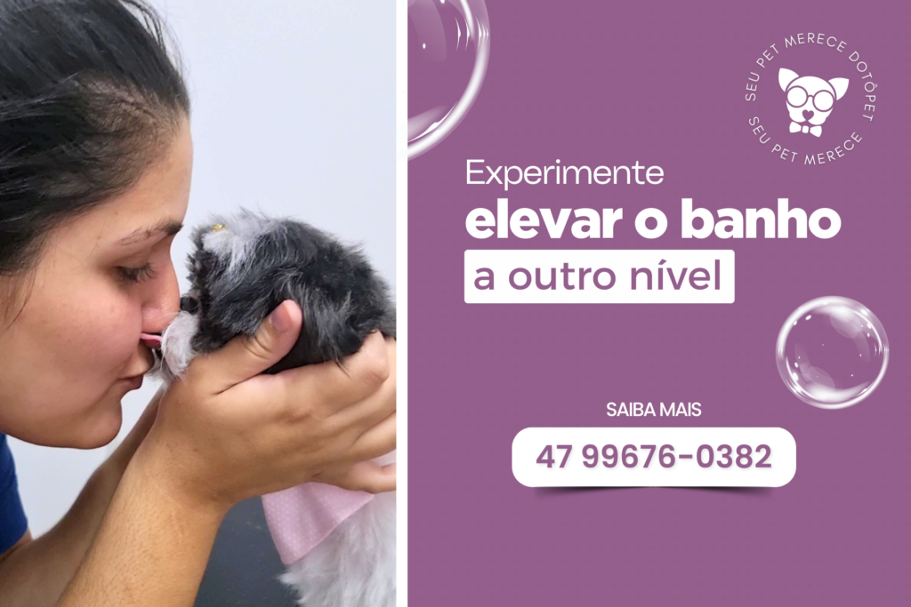 cachorro feliz e bem cuidado após banho e tosa, com aparência saudável e ambiente acolhedor