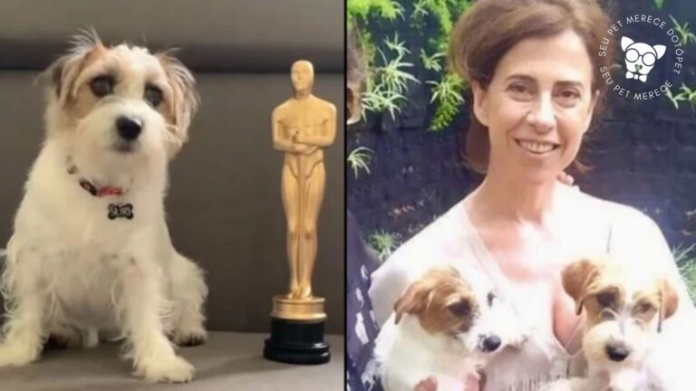 Cães que viveram Pimpão em Ainda Estou Aqui levam prêmio no Oscar canino