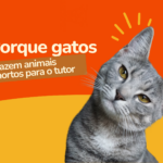Por Que Gato Traz Presente de Animais Mortos?