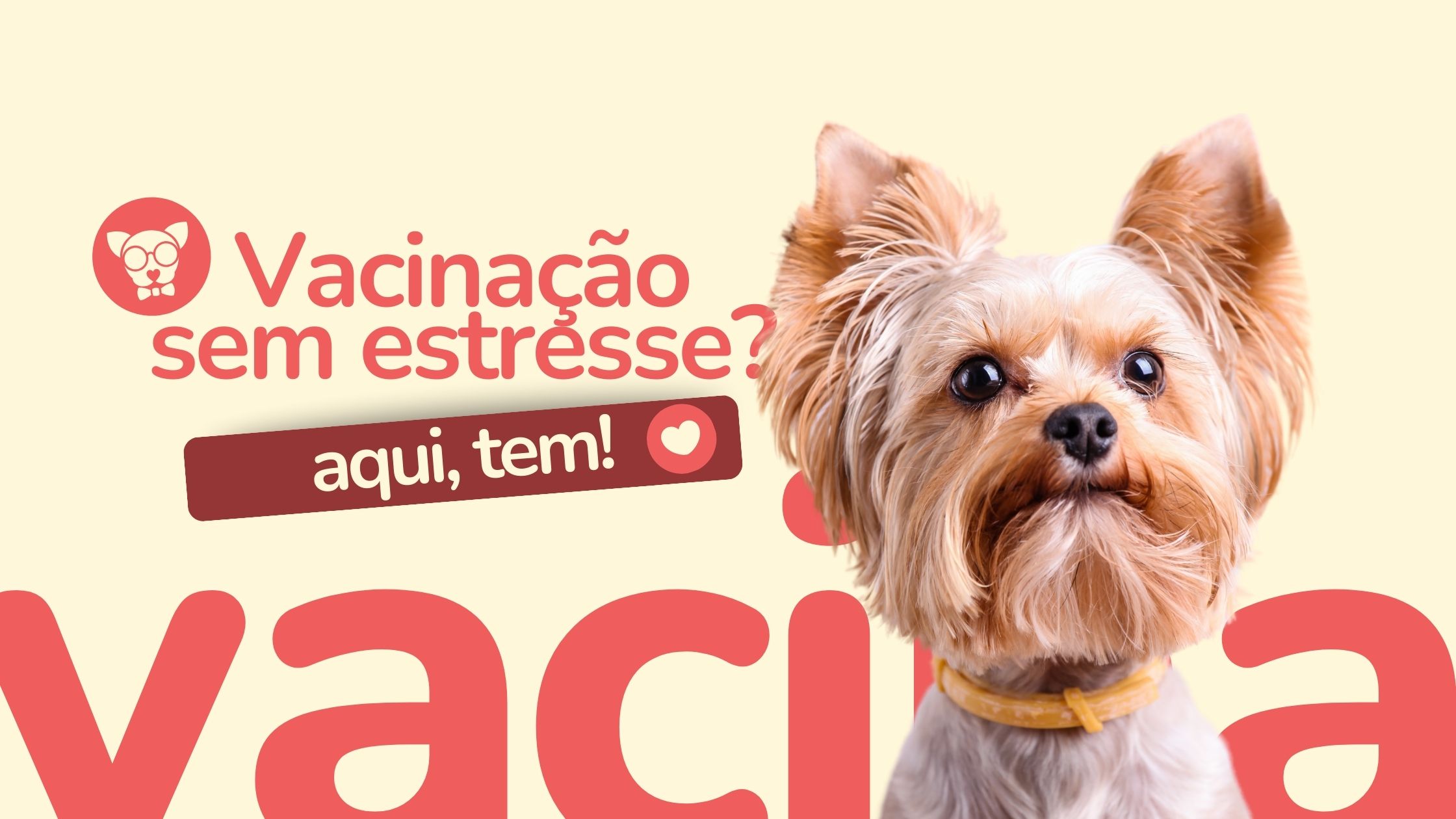 Read more about the article Vacinação Pet Friendly: Transforme a Experiência do Seu Pet
