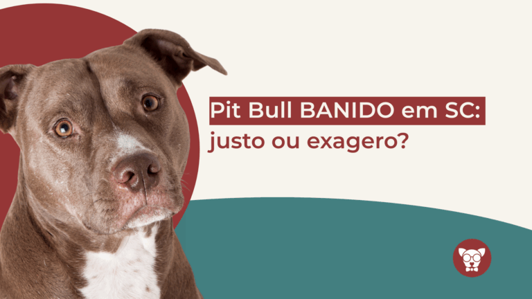 Decreto do Pit Bull em Santa Catarina 2025: Guia Completo com Tudo o que Você Precisa Saber