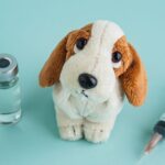 Leptospirose: prevenção para cães durante passeios ao ar livre