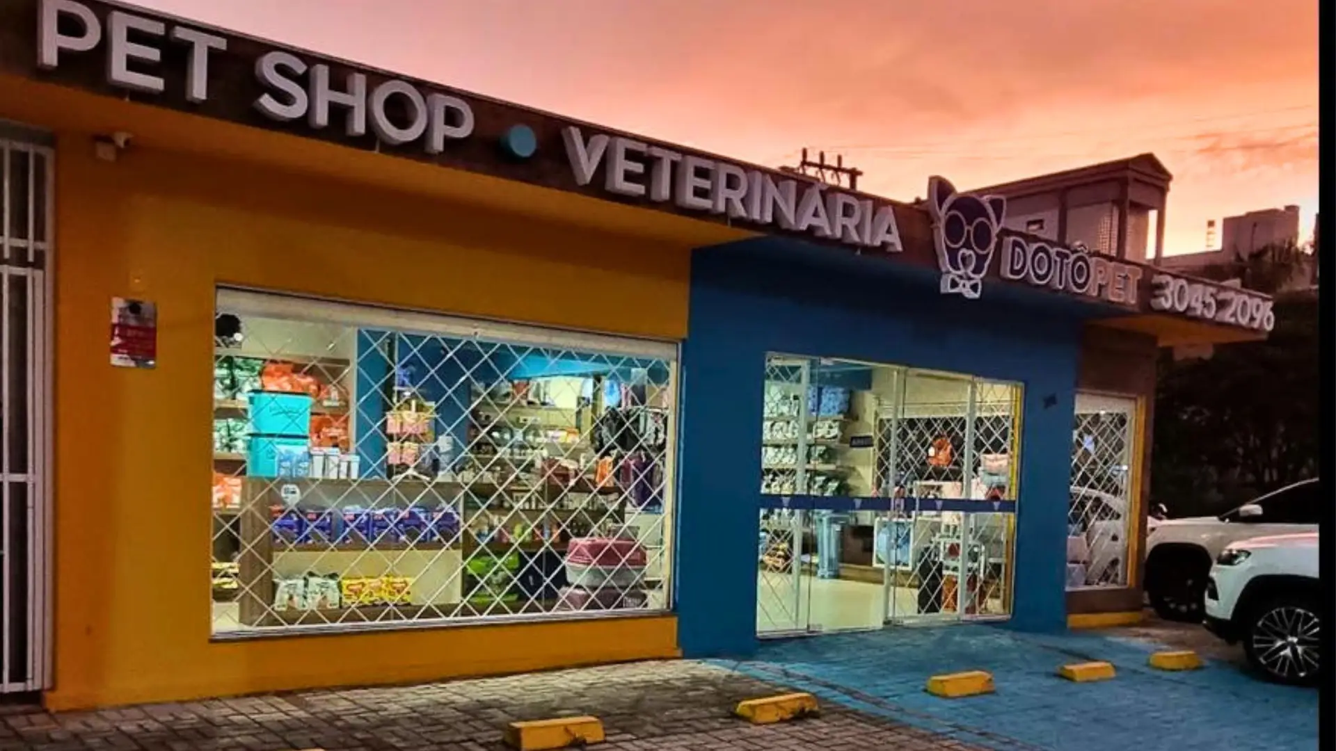 Read more about the article Pet Shop Itajaí Centro: 7 motivos para conhecer a Dotôpet