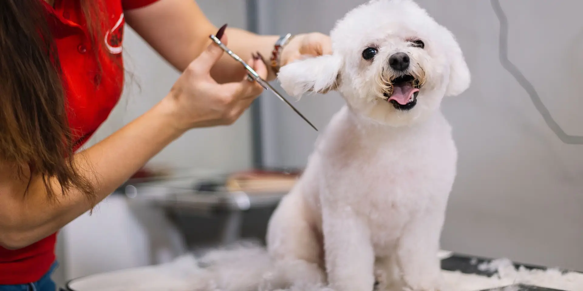 Read more about the article Tosa Bebê em Itajaí: um corte delicado, bonito e fácil de manter