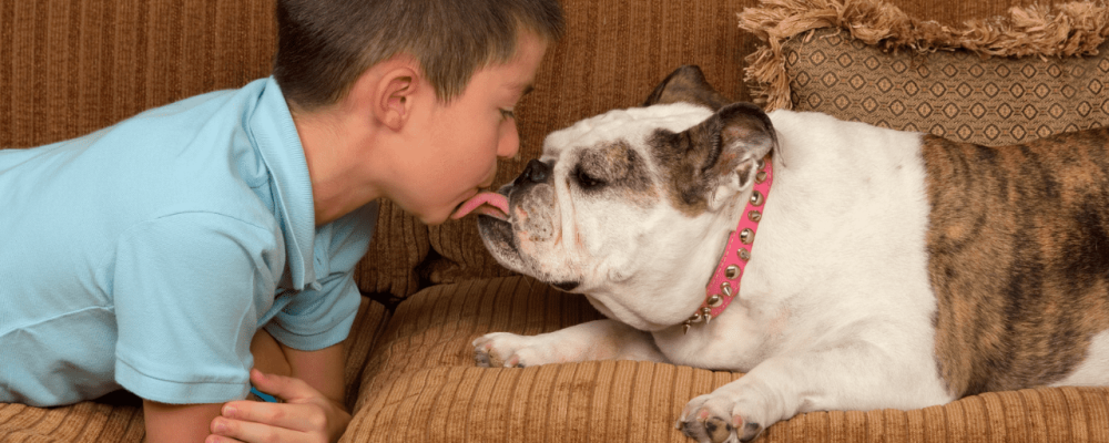 criaça e cachorro no sofá (1)