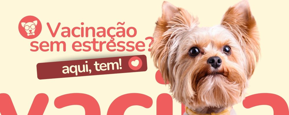 vacinacao-pet-friendly-dotopet